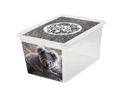 Box s víkem X Box Deco Koala 15 l BRANQ