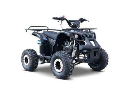 Benzínová čtyřkolka WILDPEAK 110 ccm černá