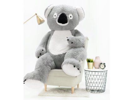 Koala 190