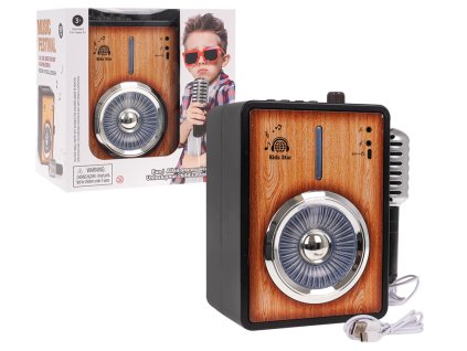 Zesilovač Bluetooth + Mikrofon