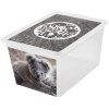 Box s víkem X Box Deco Koala 30 l BRANQ