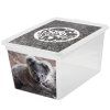 Box s víkem X Box Deco Koala 15 l BRANQ