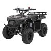 Benzínová čtyřkolka SIRIUS 49 ccm Černá 2