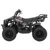 Benzínová čtyřkolka SIRIUS 49 ccm Černá 4