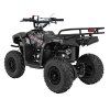 Benzínová čtyřkolka SIRIUS 49 ccm Černá 6