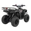 Benzínová čtyřkolka SIRIUS 49 ccm Černá 8