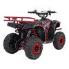 Benzínová čtyřkolka SIRIUS 49 ccm Červená 8
