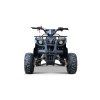 Benzínová čtyřkolka WILDPEAK 110 ccm černá 3