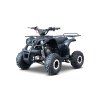 Benzínová čtyřkolka WILDPEAK 110 ccm černá 2
