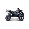 Benzínová čtyřkolka WILDPEAK 110 ccm černá 7