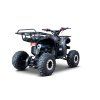 Benzínová čtyřkolka WILDPEAK 110 ccm černá 8