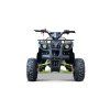 Benzínová čtyřkolka WILDPEAK 110 ccm Zelená 3