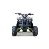 Benzínová čtyřkolka WILDPEAK 110 ccm Zelená