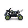 Benzínová čtyřkolka WILDPEAK 110 ccm Zelená 4