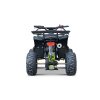Benzínová čtyřkolka WILDPEAK 110 ccm Zelená 6
