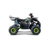 Benzínová čtyřkolka WILDPEAK 110 ccm Zelená