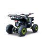 Benzínová čtyřkolka WILDPEAK 110 ccm Zelená 8