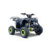 Benzínová čtyřkolka WILDPEAK 110 ccm Zelená
