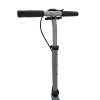 Koloběžka SPORTRIKE Stříbrná