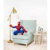 spider siedza%CC%A8cy 3