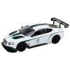 Sportovní RC auto Bentley Continental GT3 1:14 bílé 2
