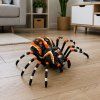 RC model pavouk tarantule dálkově ovládaný infračervený černý 4