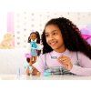 Panenka Mattel Barbie Dream Besties Brooklyn s doplňky 3