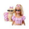 Panenka Mattel Barbie Twining Looks na procházce s pejskem 5
