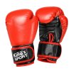 Společenská hra Boxerský sportovní set Rukavice Tréninková lapa 2v1 MUAY THAI