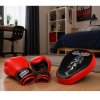 Společenská hra Boxerský sportovní set Rukavice Tréninková lapa 2v1 MUAY THAI