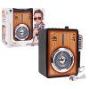 Zesilovač Bluetooth + Mikrofon