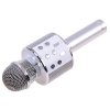 Mikrofon bezdrátový karaoke s reproduktorem Bluetooth 2