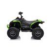 Dětská elektrická čtyřkolka Can-Am Renegade 180W 4x4 zelená 4