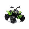 Dětská elektrická čtyřkolka Can-Am Renegade 180W 4x4 zelená 1