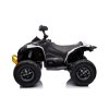 Dětská elektrická čtyřkolka Can-Am Renegade 180W 4x4 bílá 4