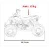 Dětská benzínová čtyřkolka RENEGADE HighPer 110CC žlutá 19