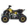 Dětská benzínová čtyřkolka RENEGADE HighPer 110 ccm žlutá 4