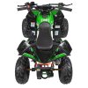 Dětská benzínová čtyřkolka RENEGADE HighPer 110 ccm zelená 18
