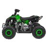 Dětská benzínová čtyřkolka RENEGADE HighPer 110 ccm zelená 5