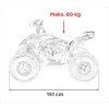 Dětská benzínová čtyřkolka DESERT STORM 125 ccm oranžová 22