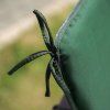 Sada sedáků na houpačku / lavici Girona 5 cm D001-32PB PATIO 2