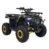 Dětská benzínová čtyřkolka 120ccm DISCOVERER žlutá 2