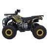 Dětská benzínová čtyřkolka 120ccm DISCOVERER žlutá 5