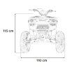 R PSP.ATV013.POM 20