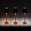 Aga LED Stolní lampa DS2406 Oranžová 2