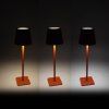 k19567 aga led stolni lampa ds2406 oranzova 4
