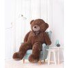 BuenoBrown190