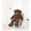 Hans170brown web