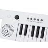 Elektronické varhany Keyboard s rukojetí + mikrofon 37 kláves