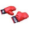 Boxerský set rukavice + pytel